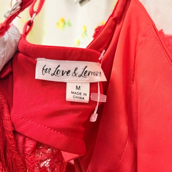 For Love & Lemons Kaia Maxi Dress in Red Medium Romantic Luxury Lace Victorian - Picture 6 of 6